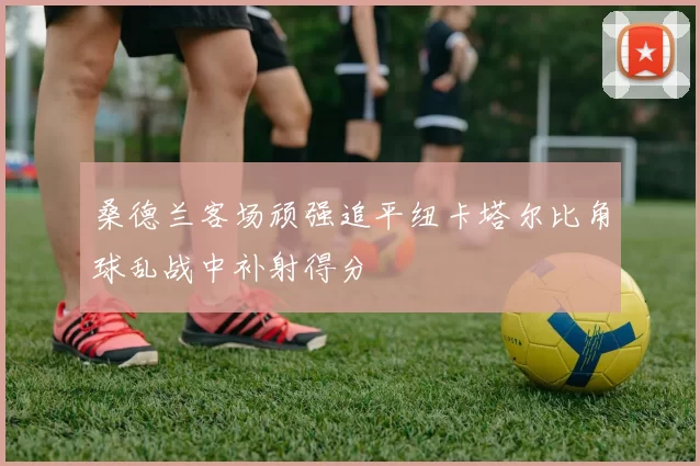 桑德兰客场顽强追平纽卡塔尔比角球乱战中补射得分